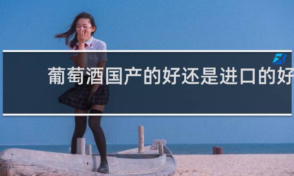 葡萄酒国产的好还是进口的好