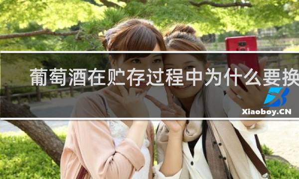 葡萄酒在贮存过程中为什么要换桶