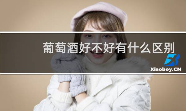 葡萄酒好不好有什么区别