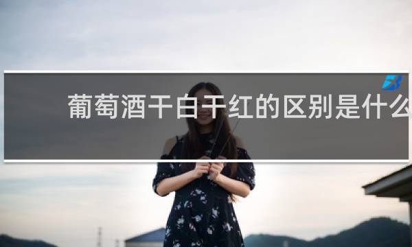 葡萄酒干白干红的区别是什么