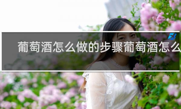 葡萄酒怎么做的步骤葡萄酒怎么做