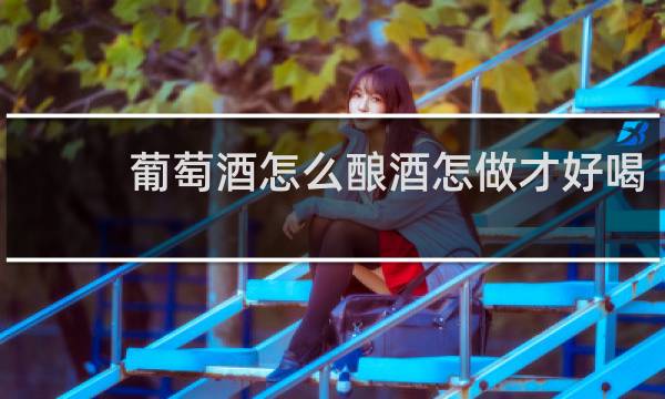 葡萄酒怎么酿酒怎做才好喝