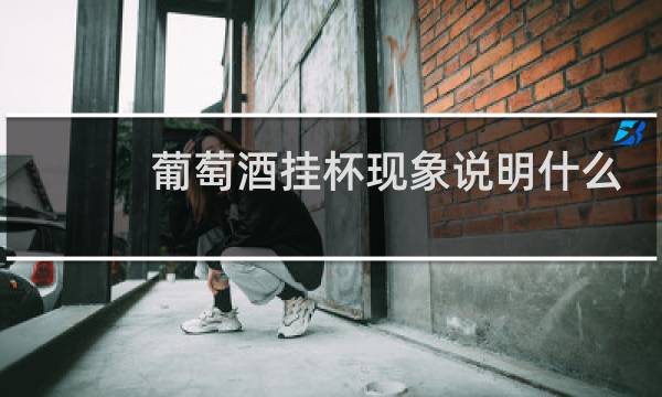 葡萄酒挂杯现象说明什么