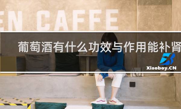 葡萄酒有什么功效与作用能补肾吗