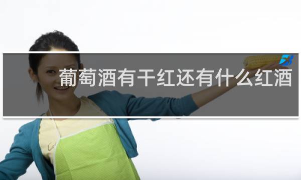 葡萄酒有干红还有什么红酒