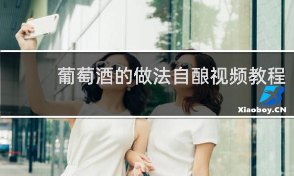 葡萄酒的做法自酿视频教程