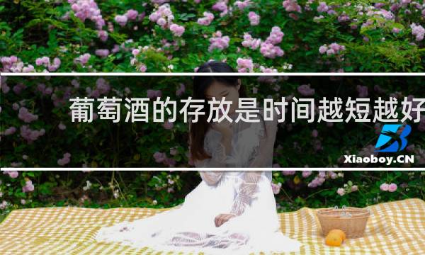 葡萄酒的存放是时间越短越好