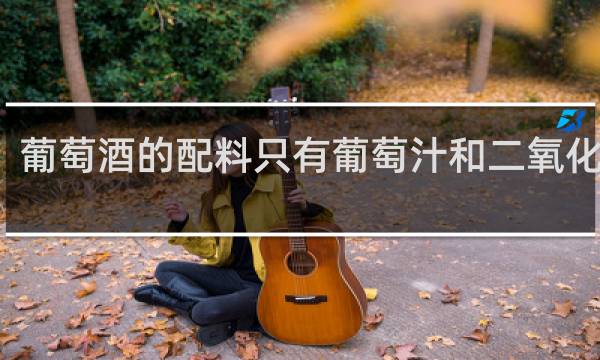 葡萄酒的配料只有葡萄汁和二氧化硫吗