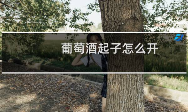 葡萄酒起子怎么开