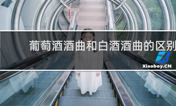 葡萄酒酒曲和白酒酒曲的区别