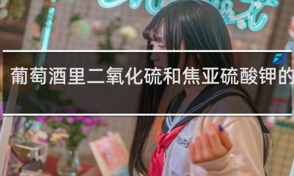 葡萄酒里二氧化硫和焦亚硫酸钾的区别