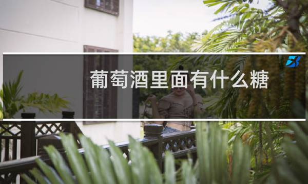 葡萄酒里面有什么糖