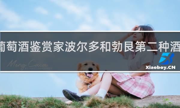 葡萄酒鉴赏家波尔多和勃艮第二种酒的区别