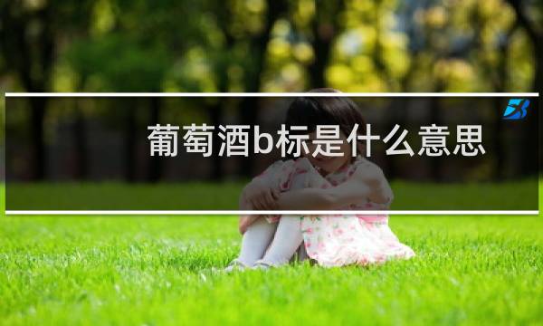 葡萄酒b标是什么意思