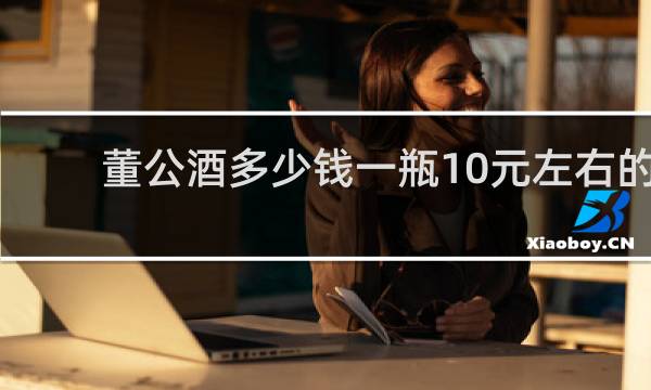 董公酒多少钱一瓶10元左右的