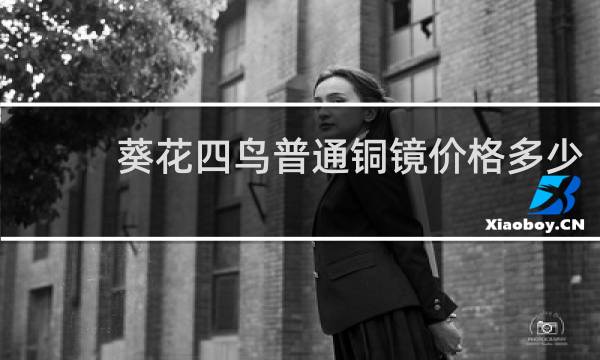 葵花四鸟普通铜镜价格多少
