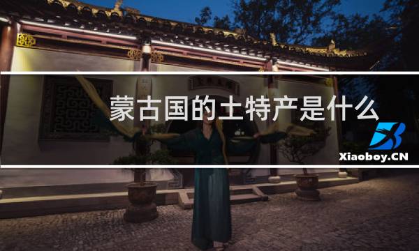 蒙古国的土特产是什么