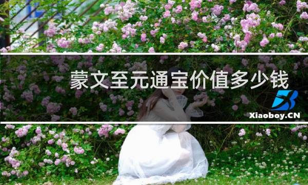 蒙文至元通宝价值多少钱
