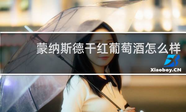蒙纳斯德干红葡萄酒怎么样