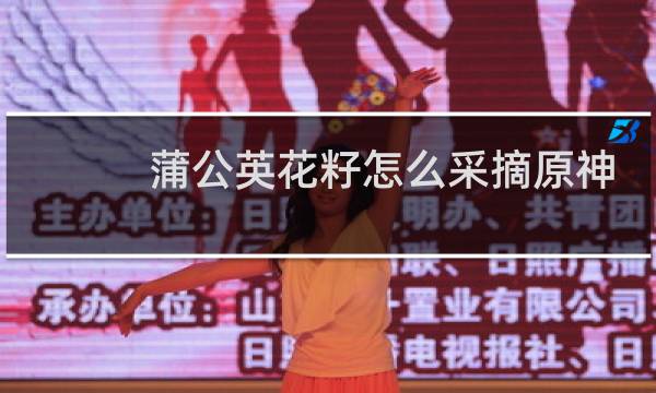 蒲公英花籽怎么采摘原神