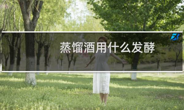 蒸馏酒用什么发酵