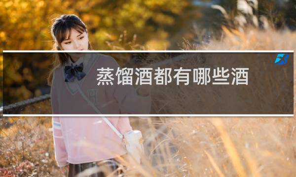 蒸馏酒都有哪些酒