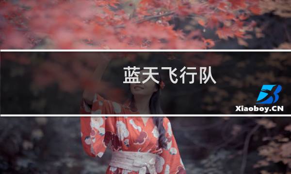 蓝天飞行队 攻略
