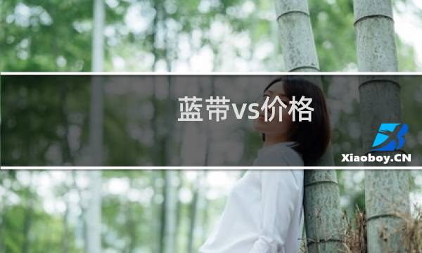 蓝带vs价格