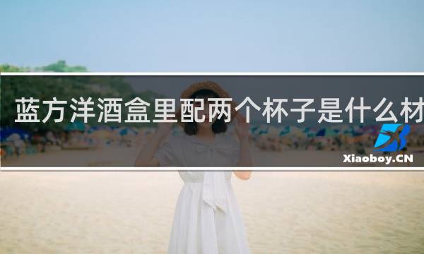 蓝方洋酒盒里配两个杯子是什么材质的