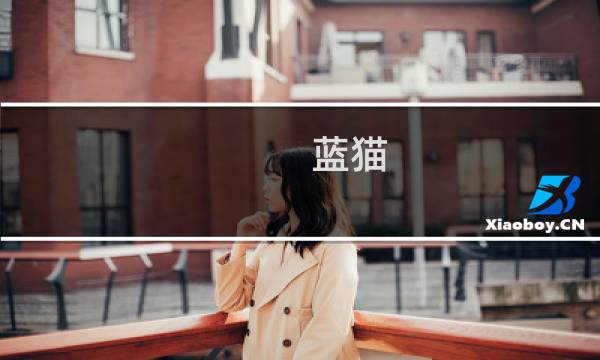 蓝猫 攻略