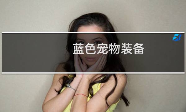 蓝色宠物装备