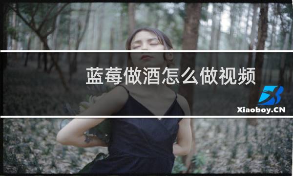 蓝莓做酒怎么做视频