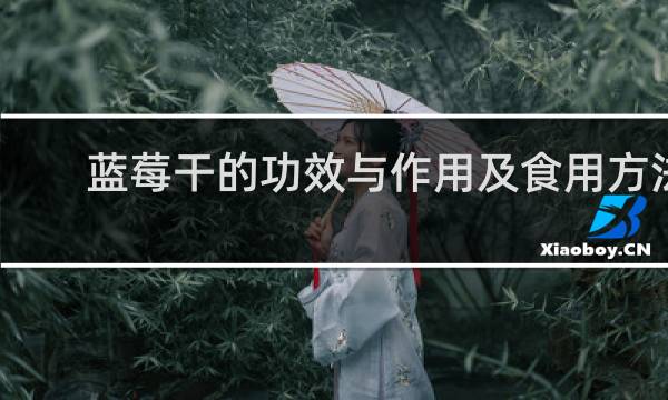 蓝莓干的功效与作用及食用方法
