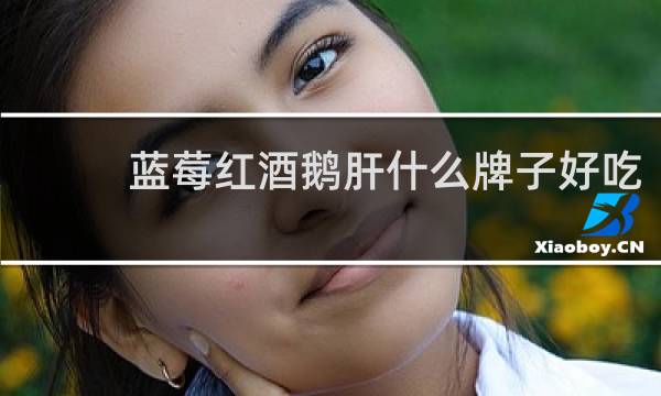 蓝莓红酒鹅肝什么牌子好吃