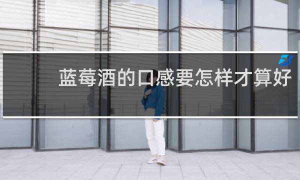 蓝莓酒的口感要怎样才算好