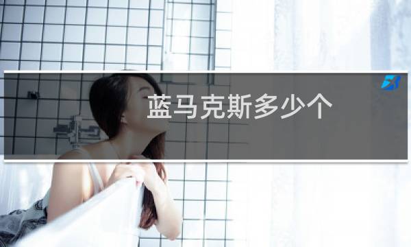 蓝马克斯多少个