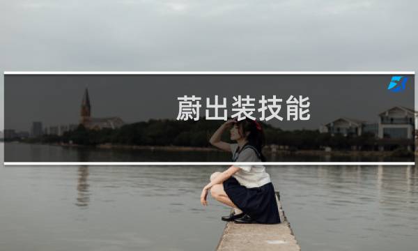 蔚出装技能