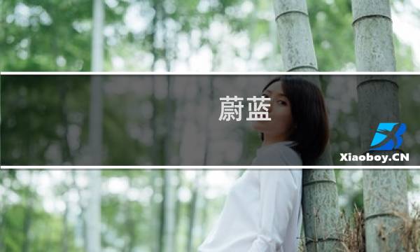 蔚蓝 steam攻略