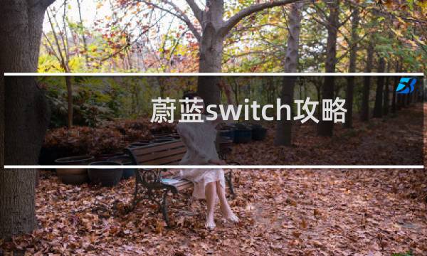 蔚蓝switch攻略