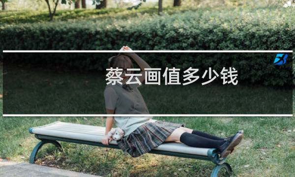 蔡云画值多少钱