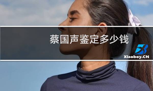 蔡国声鉴定多少钱