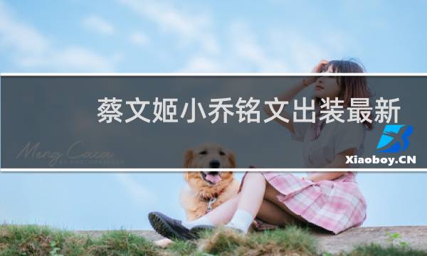 蔡文姬小乔铭文出装最新
