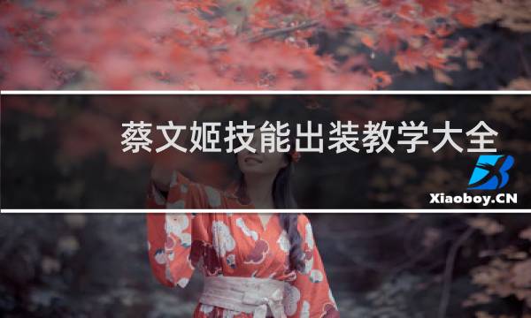 蔡文姬技能出装教学大全