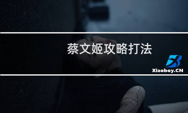 蔡文姬攻略打法