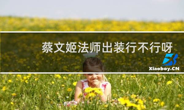 蔡文姬法师出装行不行呀