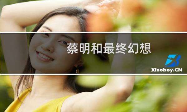 蔡明和最终幻想
