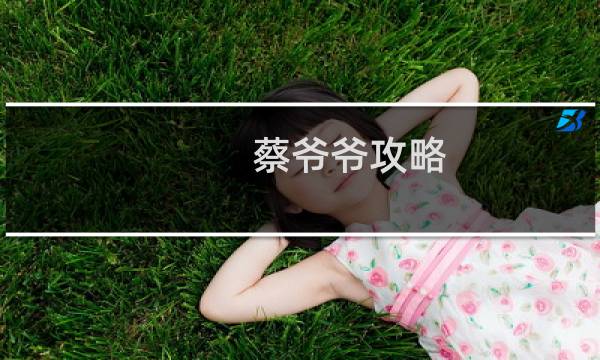 蔡爷爷攻略