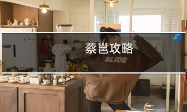 蔡邕攻略