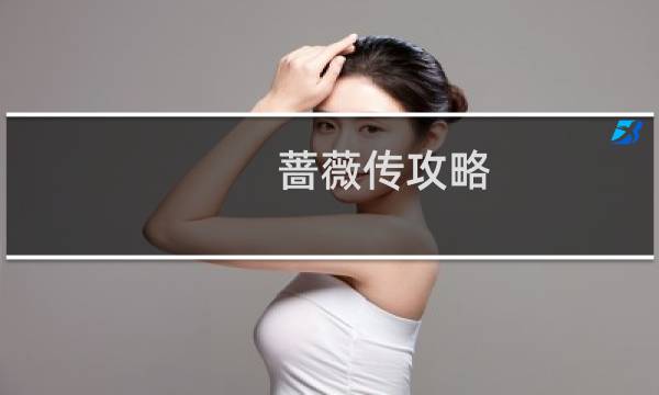 蔷薇传攻略