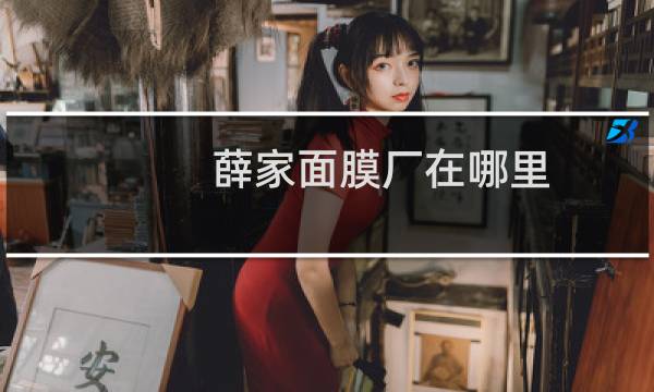 薛家面膜厂在哪里
